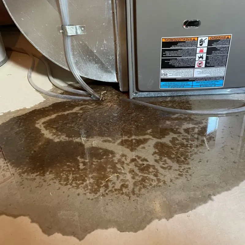Pipe Burst and Leak Restoration in Woodstock, VT